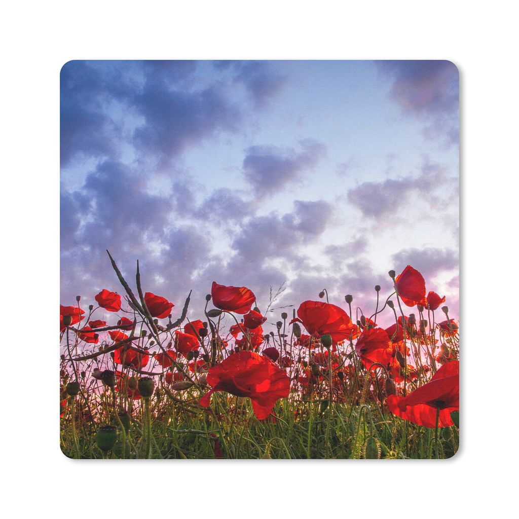 MuchoWow Mauspad Mousepad Mohnblumen - Sonnenuntergang - Frühling 30x30 cm - Mousepads - Maus Mat - Pad - Mausunterlage - Gaming