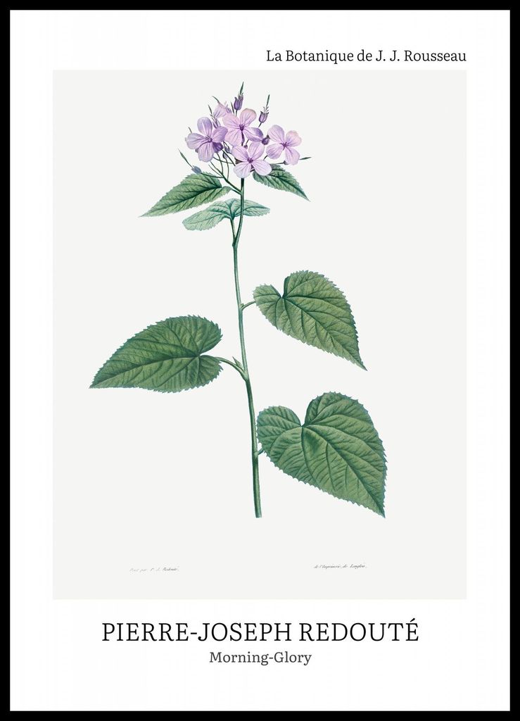 Plakat 50x70cm Design Morgenröte, Redoute Vintage für das Wohnzimmer