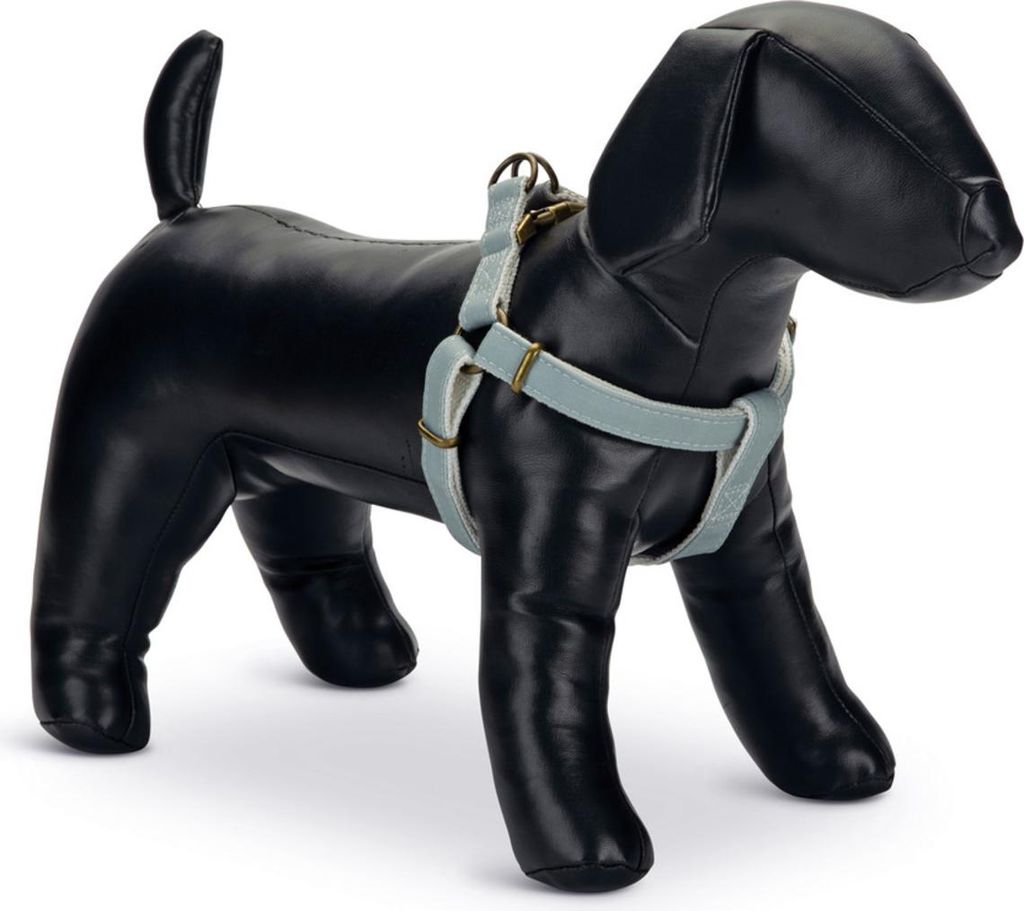 Designed by Lotte Virante - Hundegeschirr - mint - 46-75 cm
