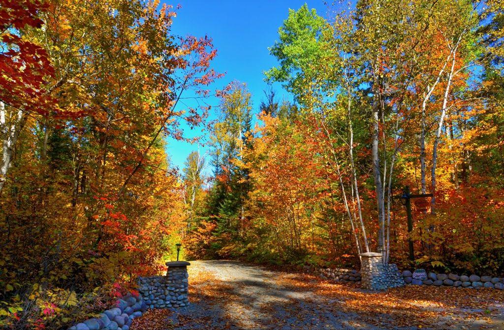 hansepuzzle 45221 - Herbstliche landschaft Puzzle, 500 Teile, Natur, 46,0 x 30,0cm mit hochwertiger Aufbewahrung, Kartonbox & Beutel