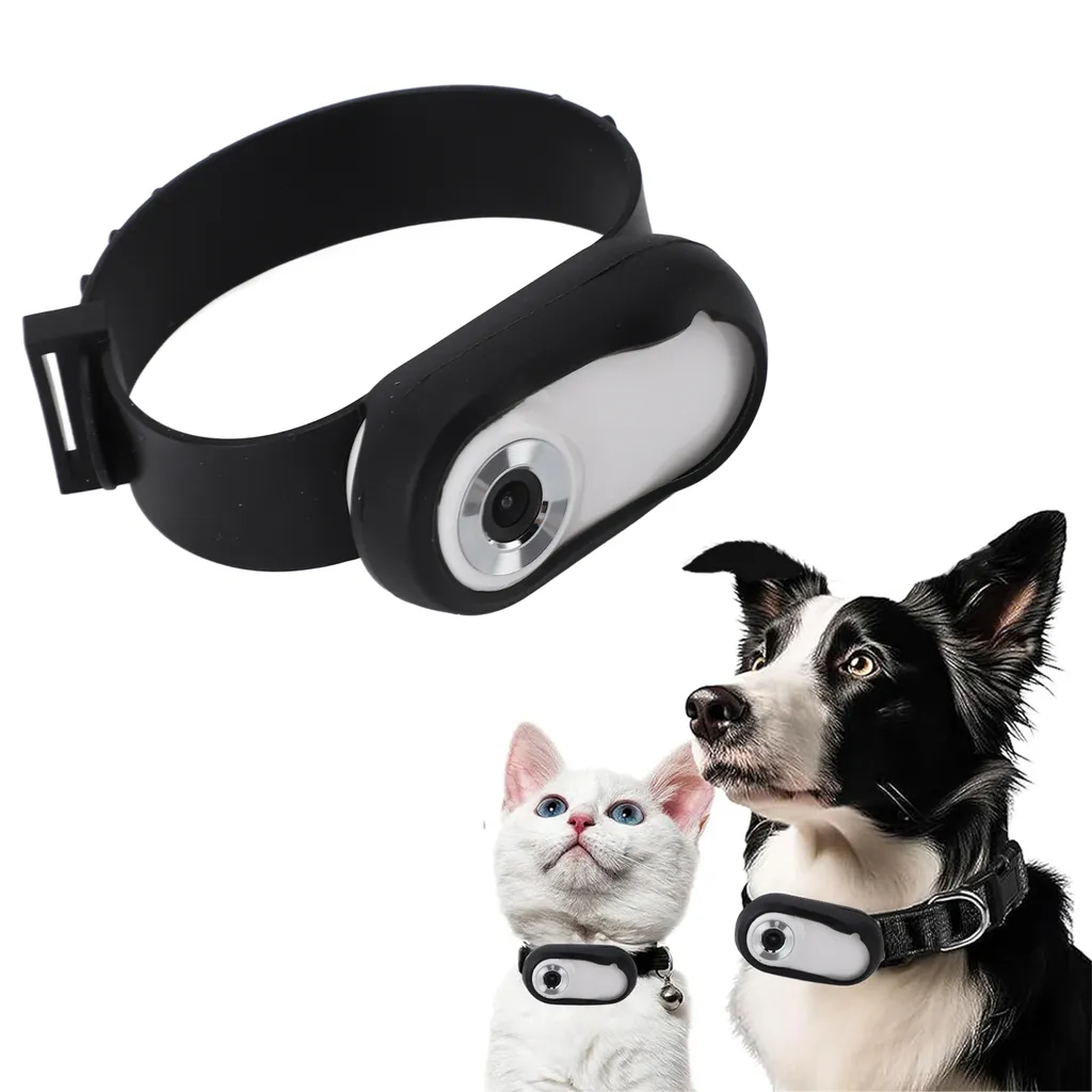 Caméra HD 1080P pour animaux avec batterie rechargeable USB et sangle flexible