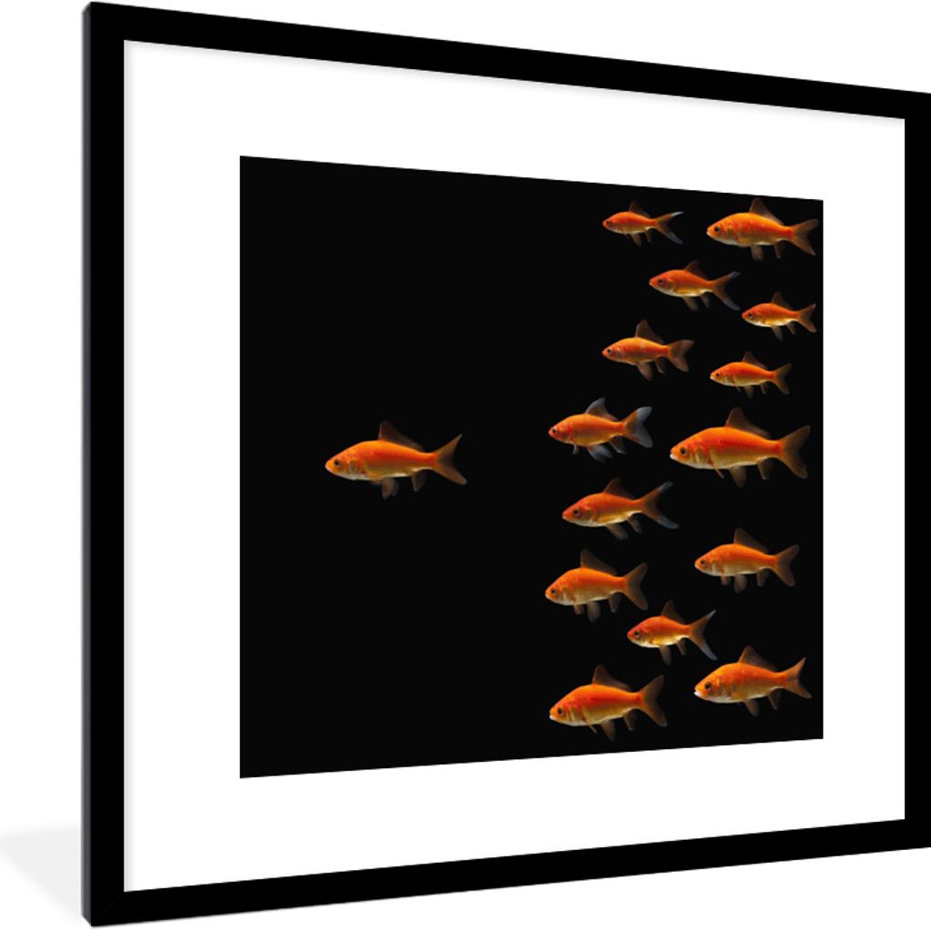 MuchoWow Gerahmtes Poster Goldfisch - Tiere - Schwarz 40x40 cm - Poster mit Schwarzem Bilderrahmen Wandposter Rahmen Foto Bilder - Poster - Plaka...
