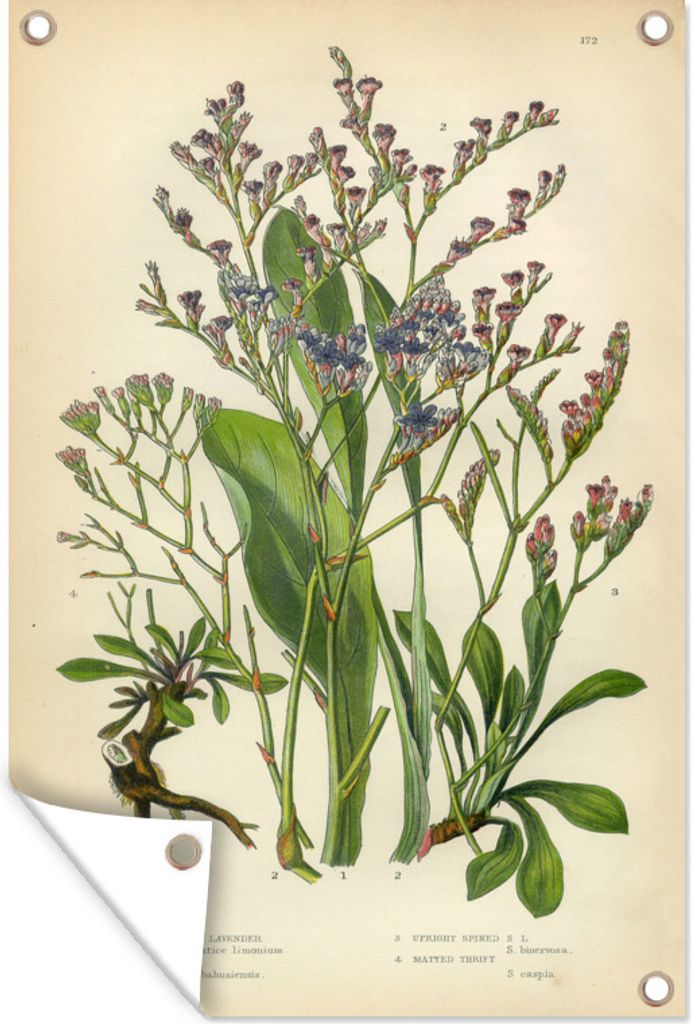 MuchoWow 40x60 cm Outdoor-Poster Gartendeko Sichtschutz Garten Poster für den Garten Nahaufnahme eines Lavendelblütenstraußes