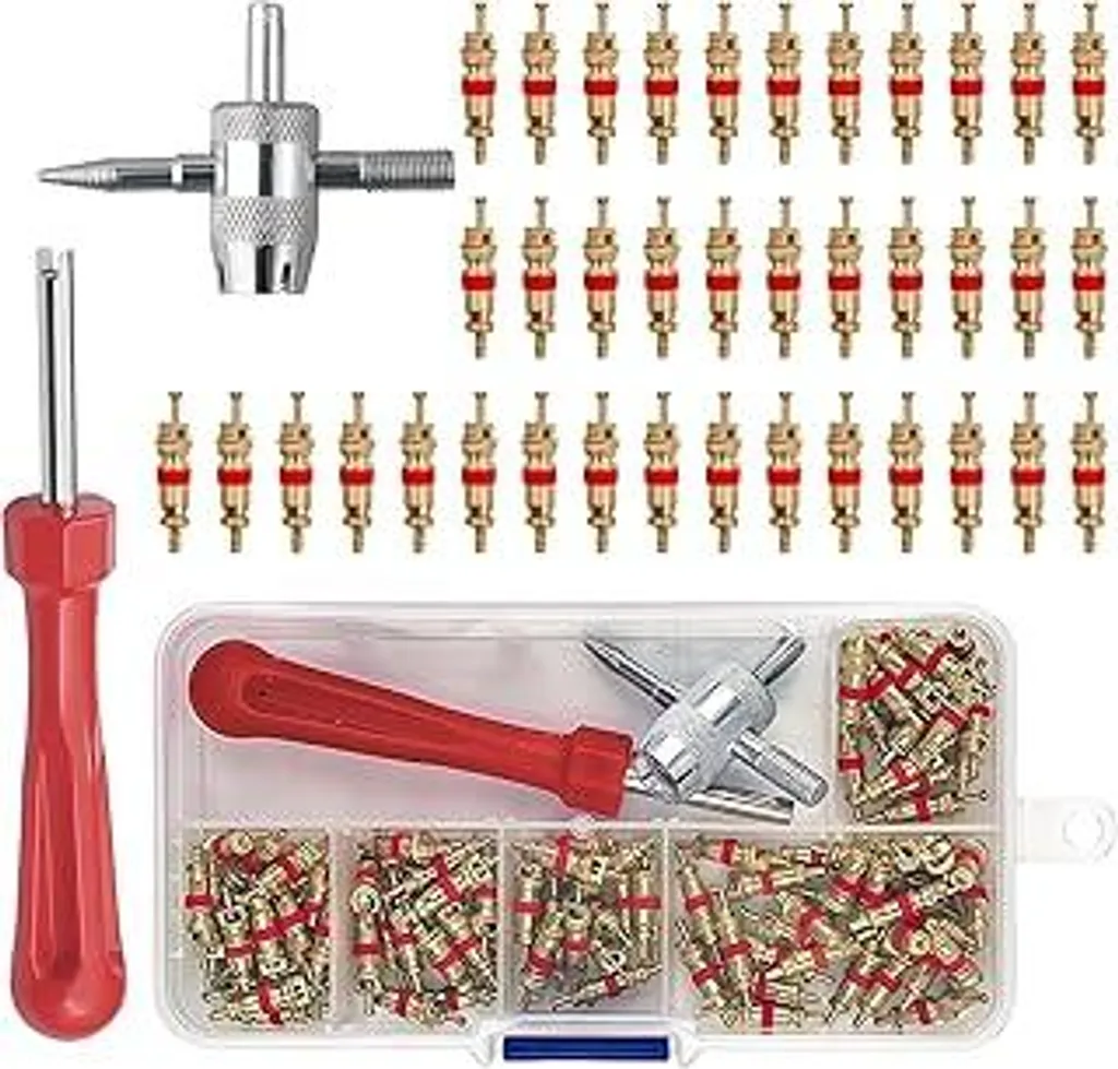 Set Riparazione Valvole Moto e MTB: 100 Core + Attrezzo Multifunzione