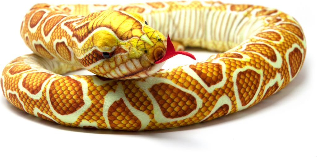 A plush toy snake coiled on a white background.