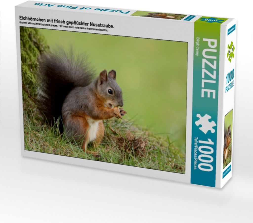 Calvendo Eichhörnchen mit frisch gepflückter Nusstraube. 1000 Teile Puzzle quer 640x480mm, Cerny Birgit; 7460799