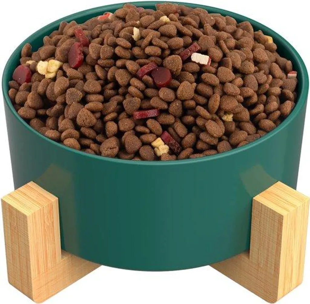 Gamelle chien céramique stable et propre : fini les bols qui glissent