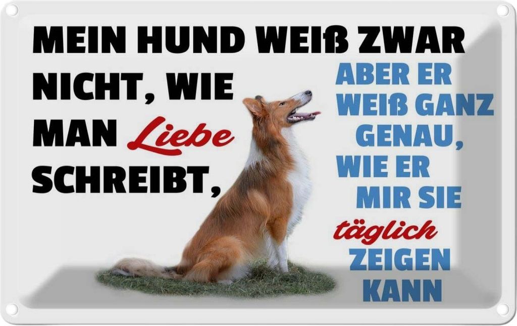 vianmo Blechschild 12x18 cm mein Hund weiß zwar Hundeliebe Tier Haustier