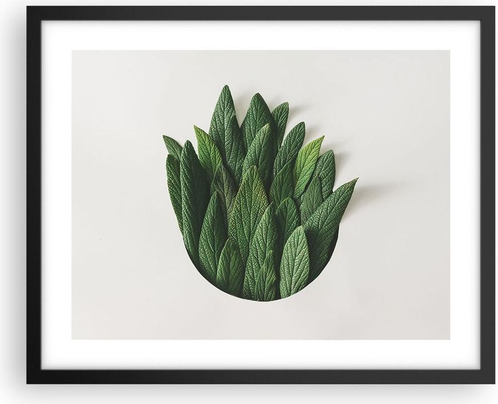 Gerahmtes Poster - Schwarzer Rahmen - Salbei Medizin Blätter - 50x40 cm - Wand Bild - Wanddeko - Wandbilder - Kunstposter - Wandposter - Bilderrah...
