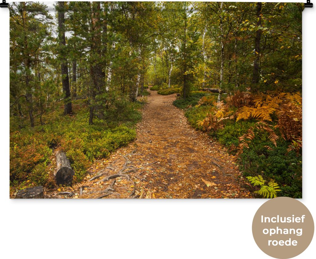 MuchoWow Wandteppich Wandbehang Wald - Weg - Herbst - Laub 120x80 cm Tapisserie Dekoration Wandtuch - Wanddekorationen - Wandtücher