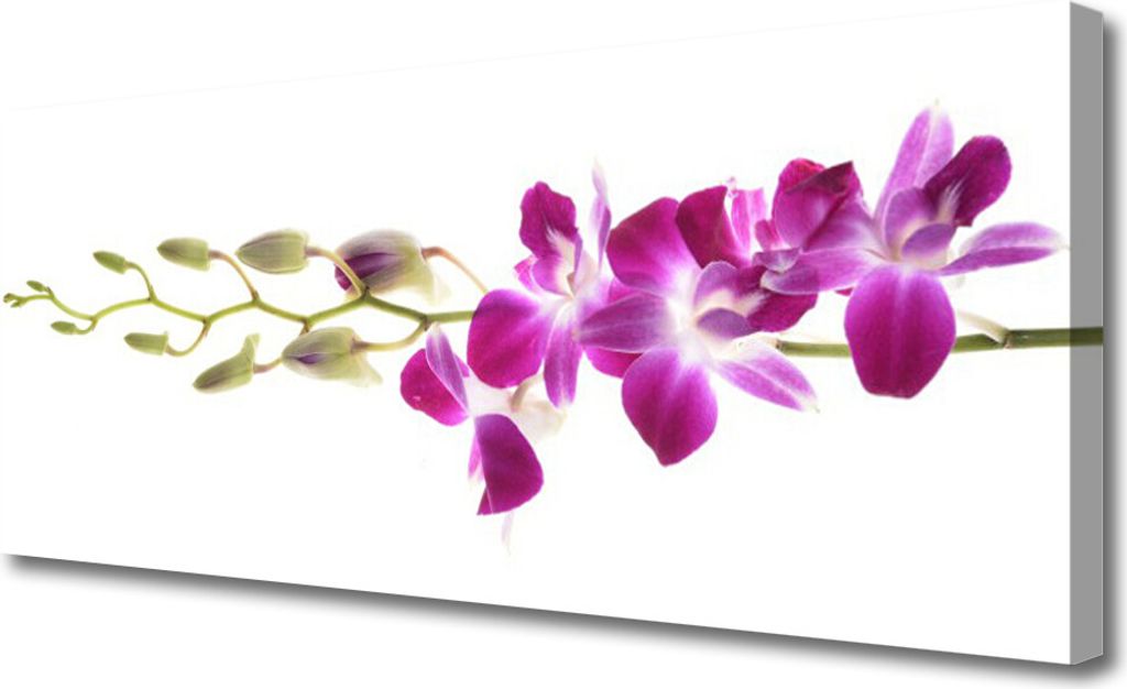 Tulup Leinwand-Bilder 125x50 Wandbild Canvas Kunstdruck Produktbild 