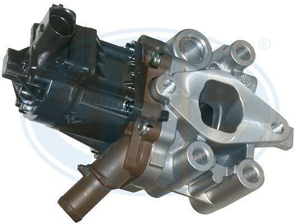 ERA 555191 AGR-Ventil für FIAT Ducato Kastenwagen (250, 290) Abgasrückführungsventil