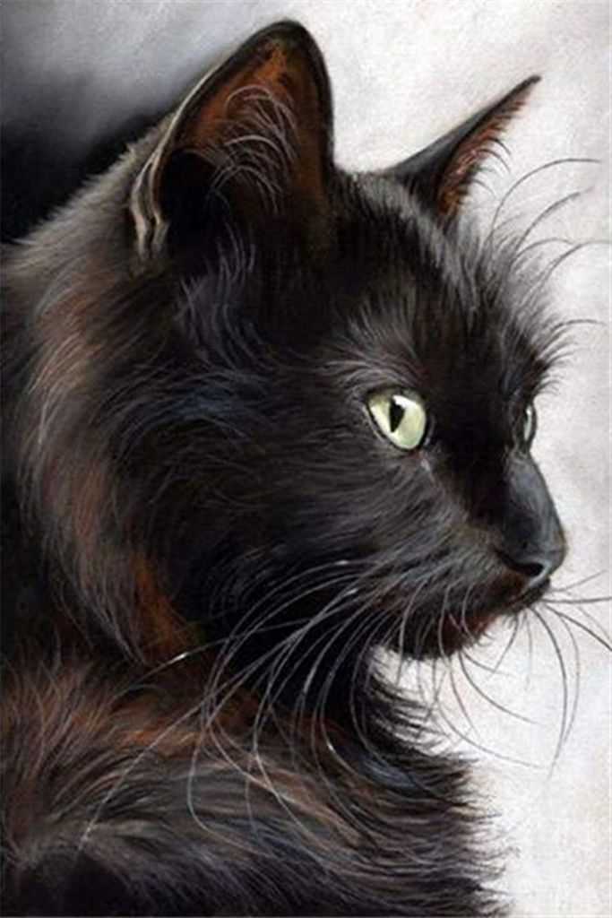 Diamond Painting Vollbold 30x40cm mit eckigen Steinen