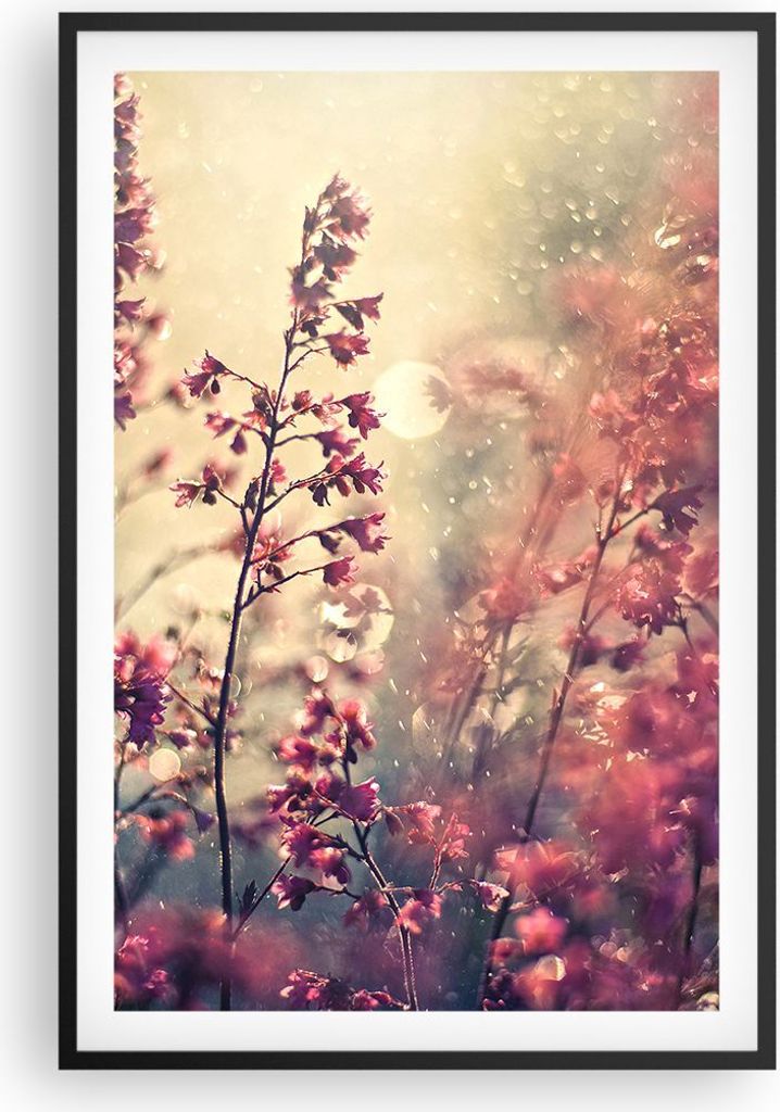 Gerahmtes Poster - Schwarzer Rahmen - Blumen Regen Licht - 61x91,5 cm - Wand Bild - Wanddeko - Wandbilder - Kunstposter - Wandposter - Bilderrahmen...