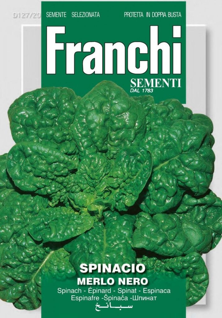 Spinat Merlo Nero | Spinatsamen von Franchi Sementi