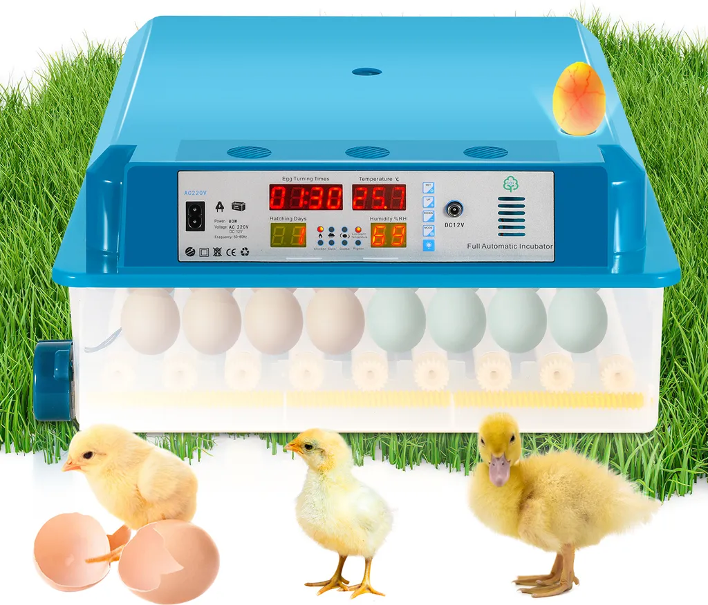 Clanmacy Incubatrice completamente automatica, Incubatrice 64 uova con display, incubatrice di uova con controllo della temperatura per galline, oche, anatre, piccioni e quaglie