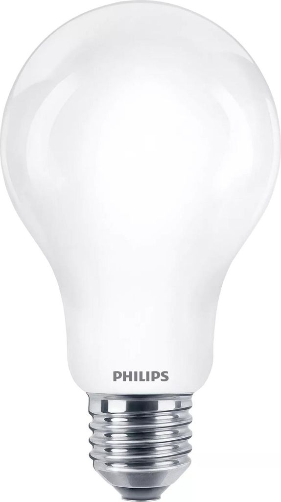 Philips Matná filamentová žárovka 120 W, A67 E27, 13 W, 120 Obrázek produktu 