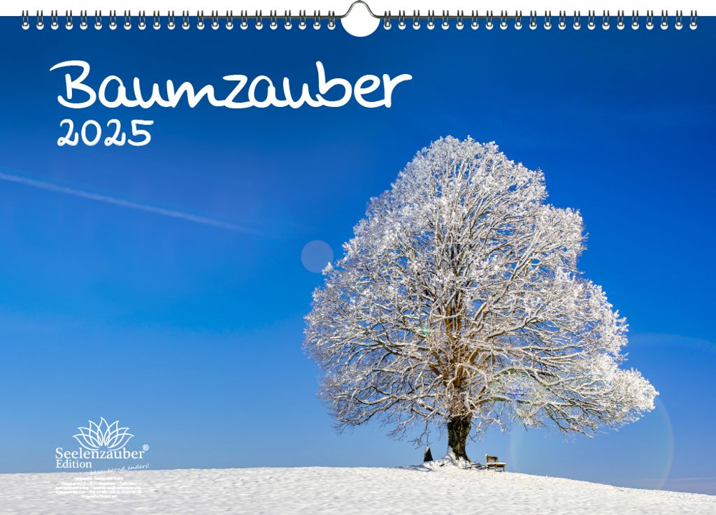 Baumzauber DIN A3 Kalender für 2025 Baum Bäume Wald Natur- Seelenzauber