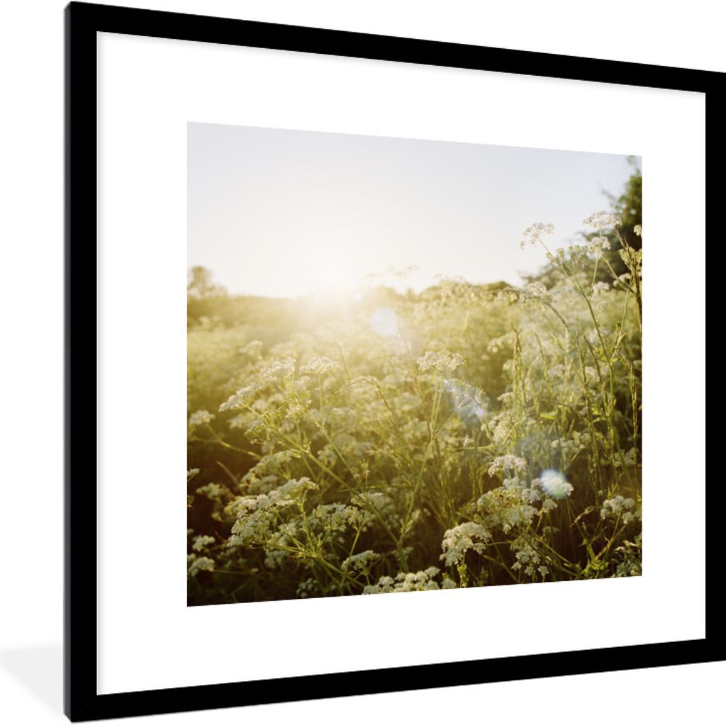 MuchoWow Gerahmtes Poster Blumen - Weiß - Frühling 40x40 cm - Poster mit Schwarzem Bilderrahmen Wandposter Rahmen Foto Bilder - Poster - Plakat...