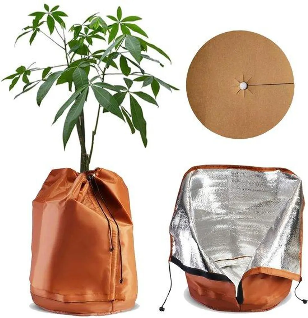 Housse d'hivernage pour palmier et plantes en pot avec paillage en coco