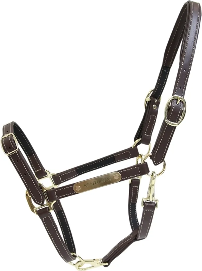 Kentucky Cavezza Anatomica Marrone - Protezione e Comfort Superiore