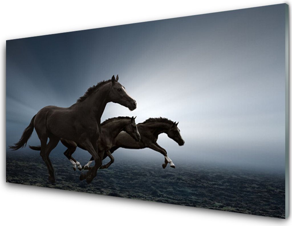Acrylglasbilder 100x50 Wandbild Druck Pferde Tiere