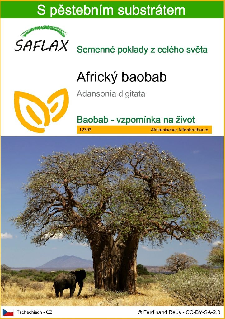 SAFLAX - Africký baobab - Adansonia digitata - 6 Semena - S Obrázek produktu 
