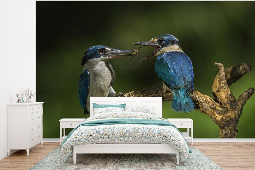 MuchoWow Fototapete für Wohnzimmer oder Schlafzimmer Wandtapete Vinyl Motivtapete Vögel - Eisvogel - Zweig - 320x240 cm - Tapeten