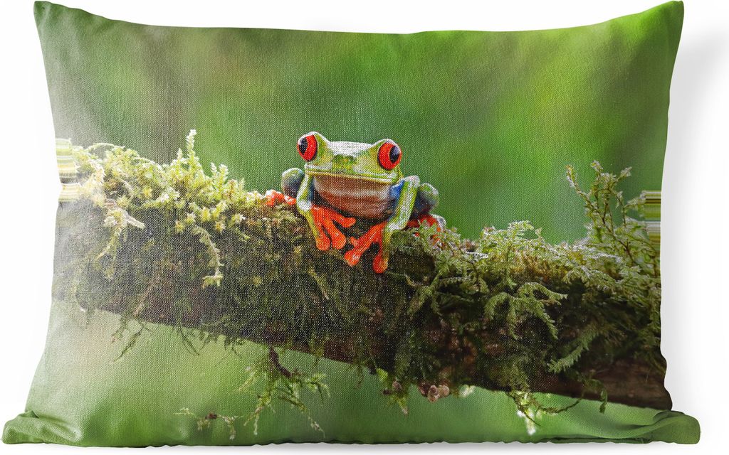 MuchoWow Outdoor Kissen - Rotäugiger Quecksilberfrosch auf bewachsenem Ast - 50x30 cm - Wetterfest - Lounge Kissen - Sofa kissen - Wohnzimmer De...