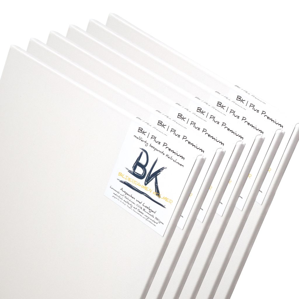 6 pláten B.K. PLUS | 70x120 cm | na nosném rámu, 100% Obrázek produktu 