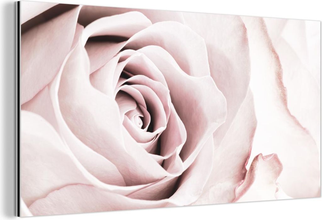 MuchoWow Wanddekoration Metall Metallbild Wandkunst 80x40 cm Blumen - Rose - Rosa - Botanisch MuchoWow Aluminium Gemälde - Wanddekoration - Alubild