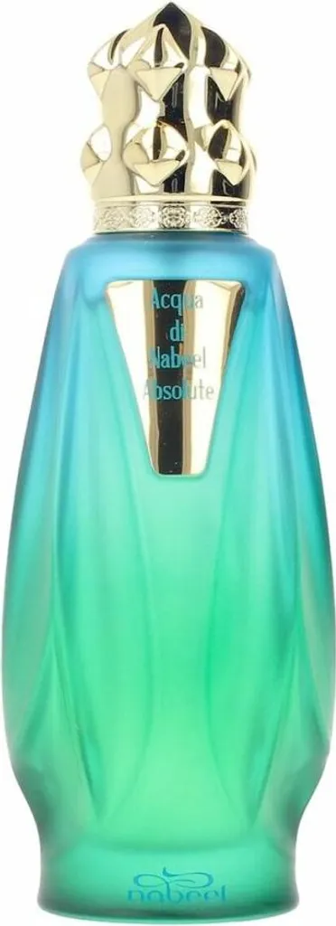 Acqua Di Nabeel Absolute Eau de Parfum 100ml - Parfum Mixte de Luxe