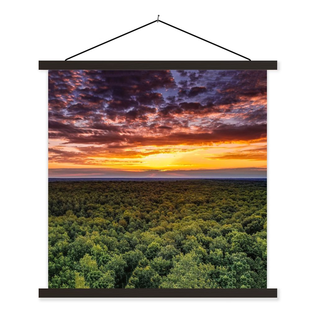 MuchoWow Textilposter Wald - Nacht - Himmel - Horizont - Bäume 60x60 cm mit schwarzem Rahmen - Posteraufhänger