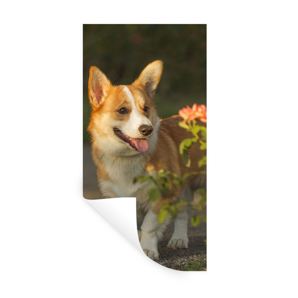MuchoWow Wandtattoo Wandsticker Wandaufkleber Hund - Rosen - Strauch 20x40 cm Selbstklebend und Repositionierbar - Selbstklebend - Fototapeten