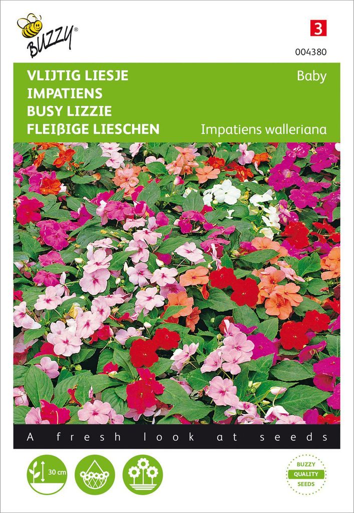 Impatiens Fleißige Lieschen Baby Mischung | Fleißiges Lieschen Samen von Buzzy Seeds