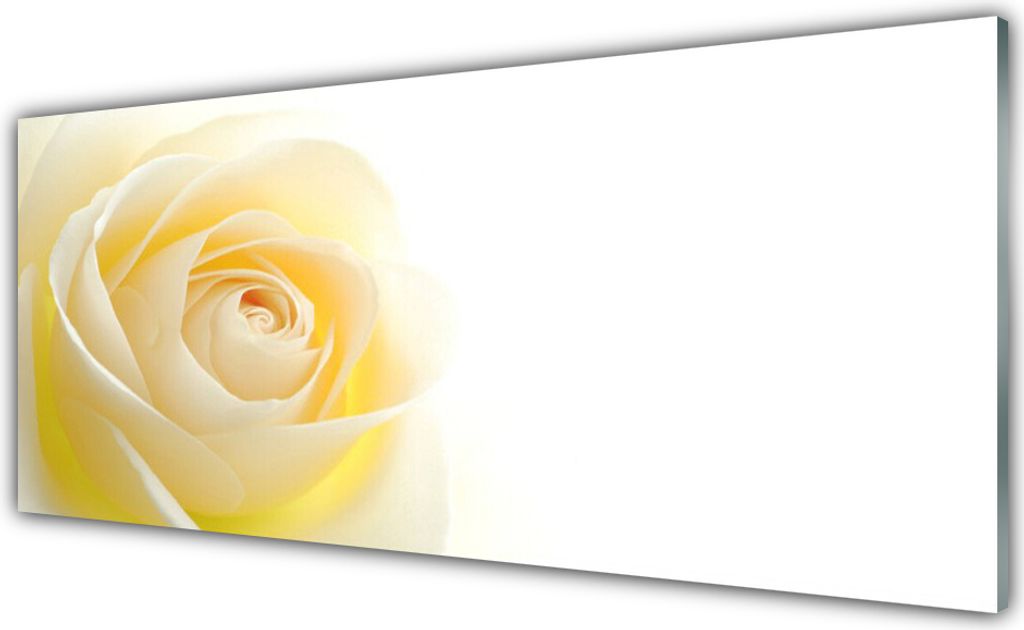 Küchenrückwand aus Glas 125x50cm Spritzschutz Rose Pflanzen