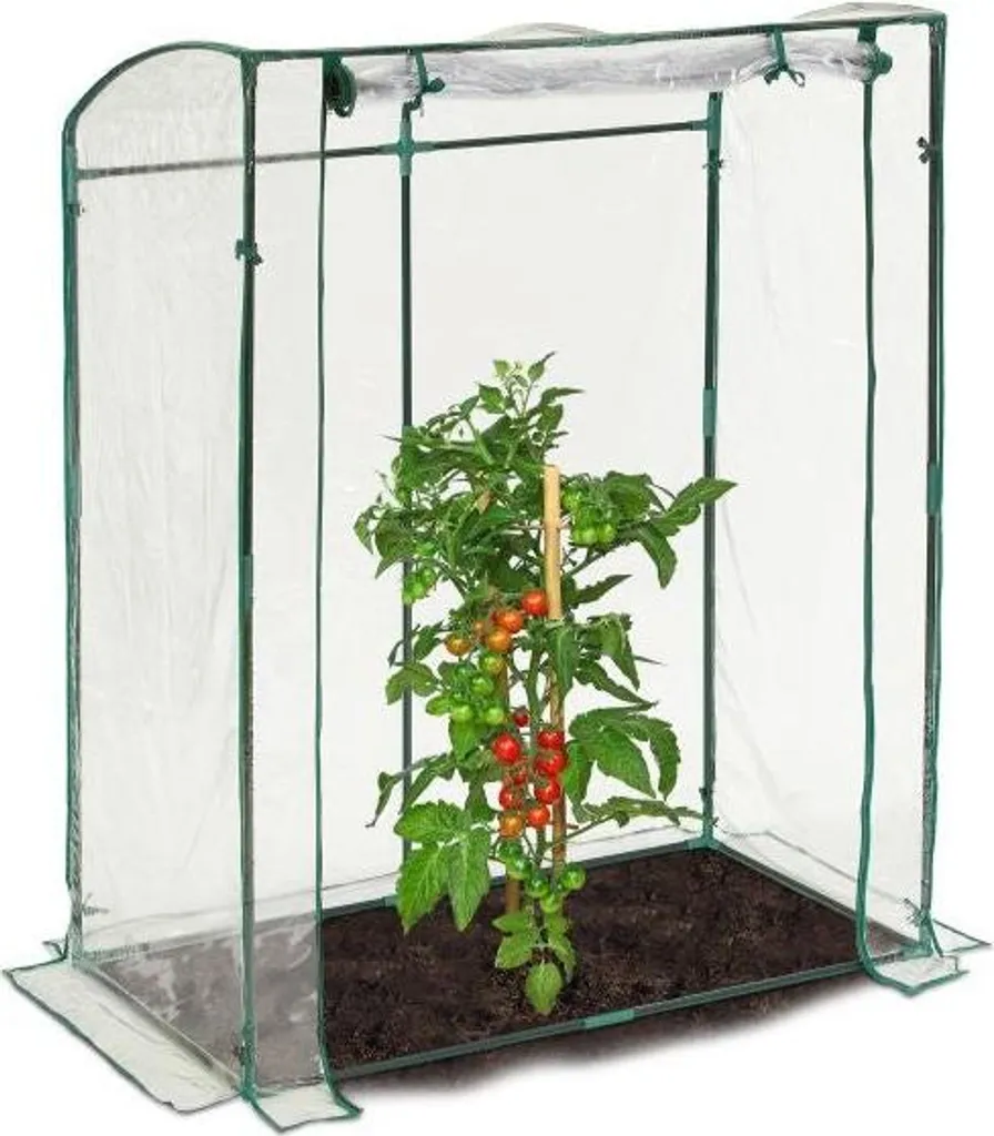 Serra a Casetta per Pomodori PVC | Struttura Orto Verticale 195cm