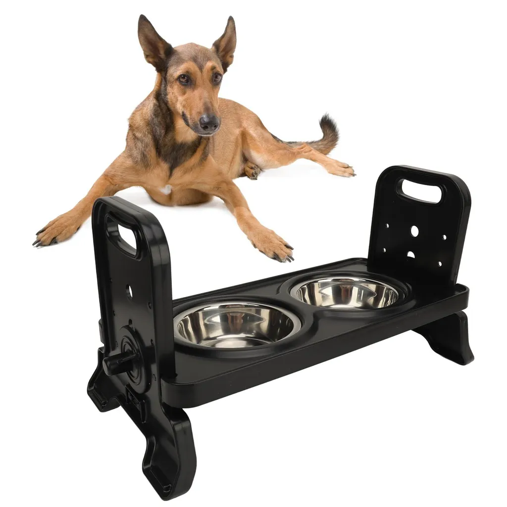 Set Ciotole in Ceramica con Supporto per Cane