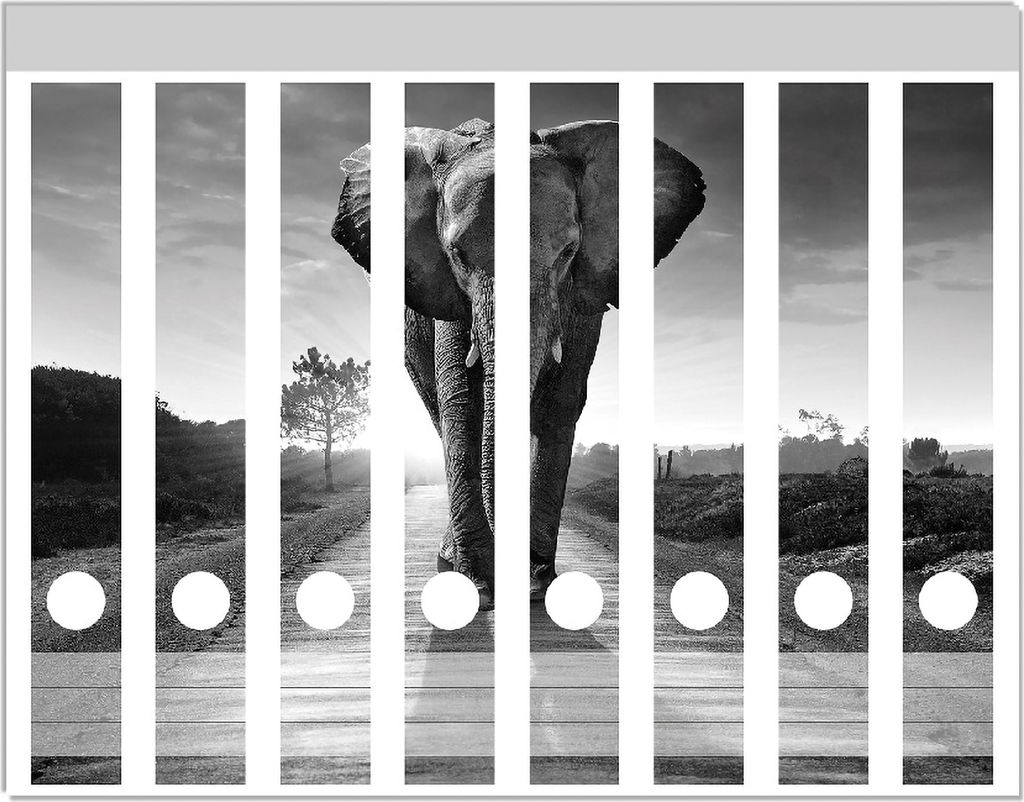 Wallario Ordnerrücken Sticker, selbstklebend für schmale Ordner, 8 Stück, Motiv Elefant bei Sonnenaufgang in Afrika schwarzweiß