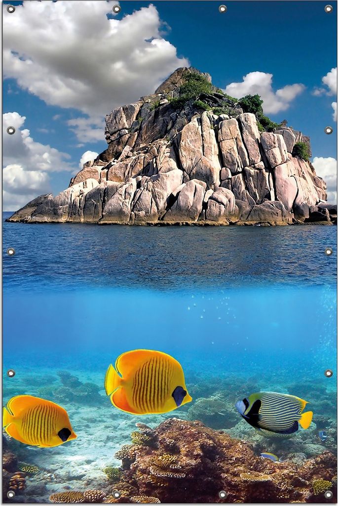 Wallario Outdoor-Poster für Garten oder Balkon, Motiv Exotische Fische im Meer, in ca. 120 x 180 cm