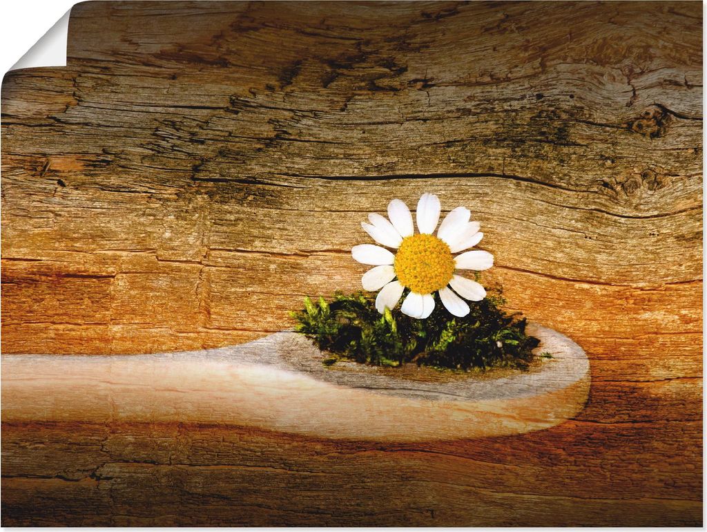 ARTland Poster Kamille Größe: 60x45 cm
