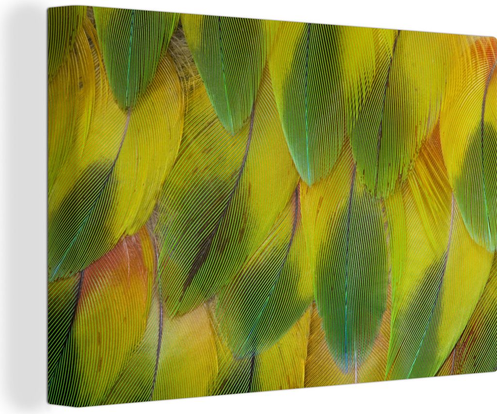 OneMillionCanvasses - Leinwandbilder - 140x90 cm, Struktur der gelben Federn, Wandbilder Kunstdruck Wanddekoration - Foto auf Leinwand - Gemälde...