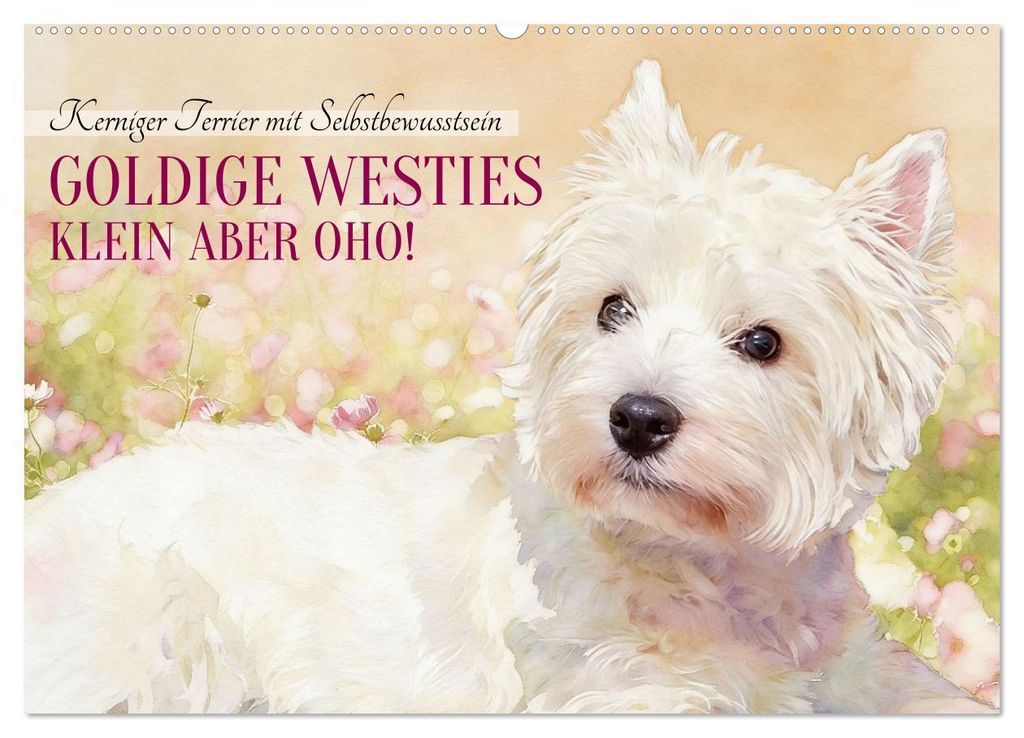Goldige Westies - klein aber oho! (Wandkalender 2027 DIN A2 quer), CALVENDO Monatskalender