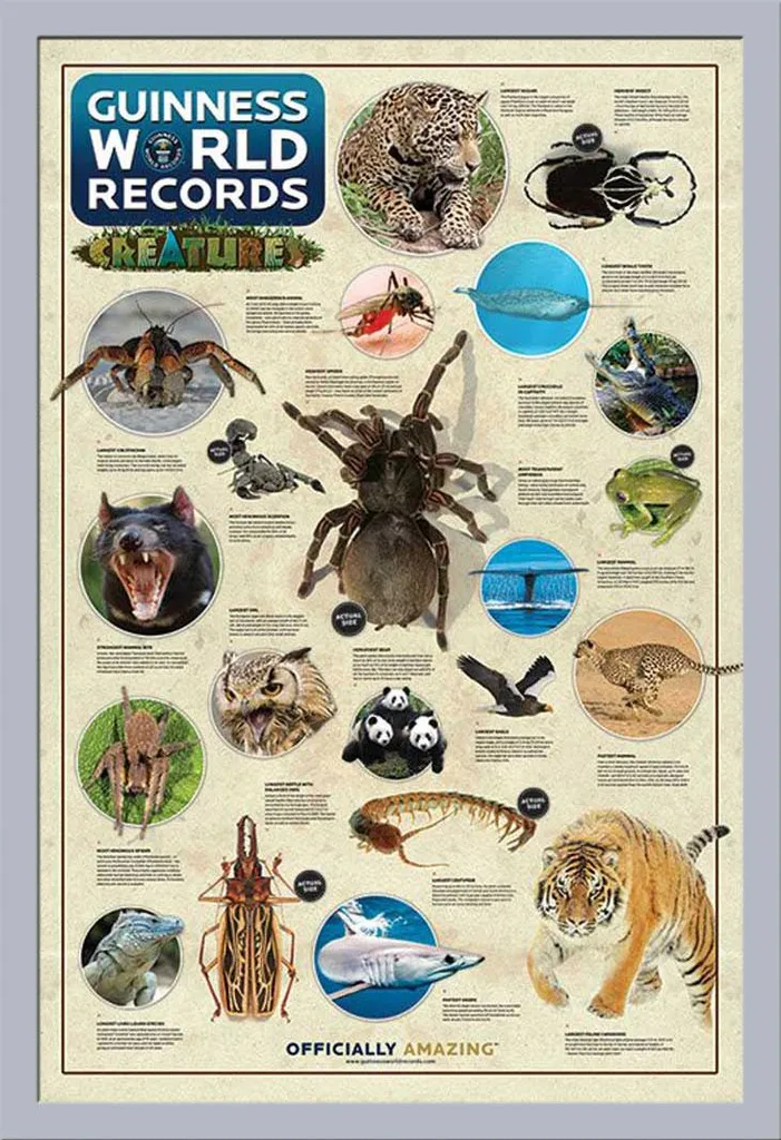 Guinness World Records - Poster - Creature + cornice rimovibile, Shinsuke® Maxi MDF argento, disco acrilico