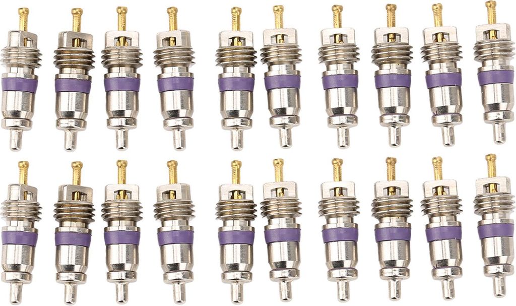 20pcs Auto Klimaanlage Ventil Kernautomobile Conditioner -Stammersatz für Benz