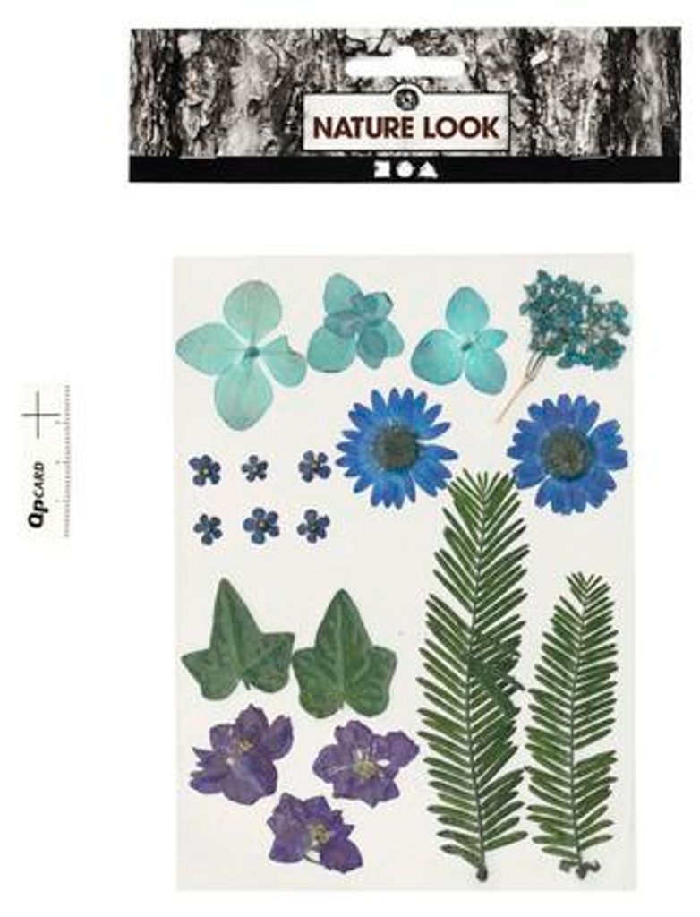 Blüten und Blätter blau gepresst, Creativ Company Produktbild 