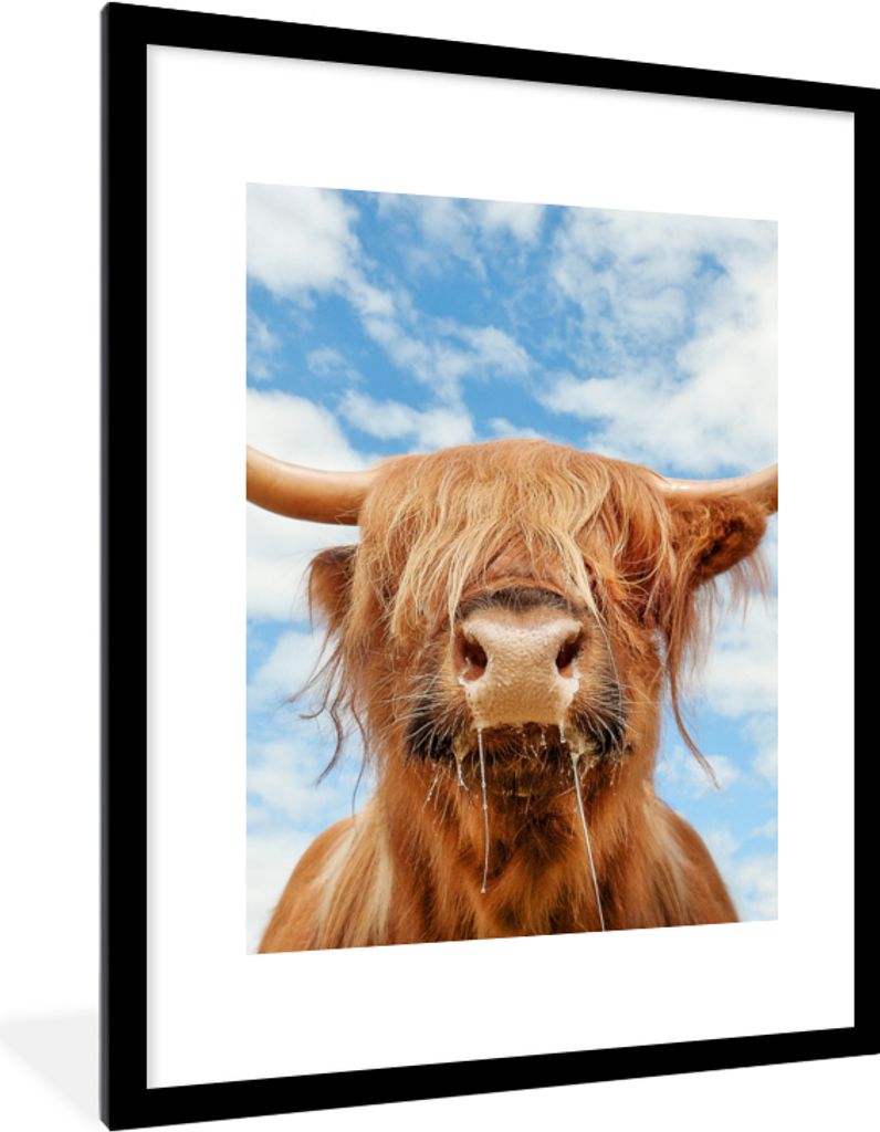 MuchoWow Gerahmtes Poster Schottischer Highlander - Wolke - Tiere 60x80 cm - Poster mit Schwarzem Bilderrahmen Wandposter Rahmen Foto Bilder - Wo...