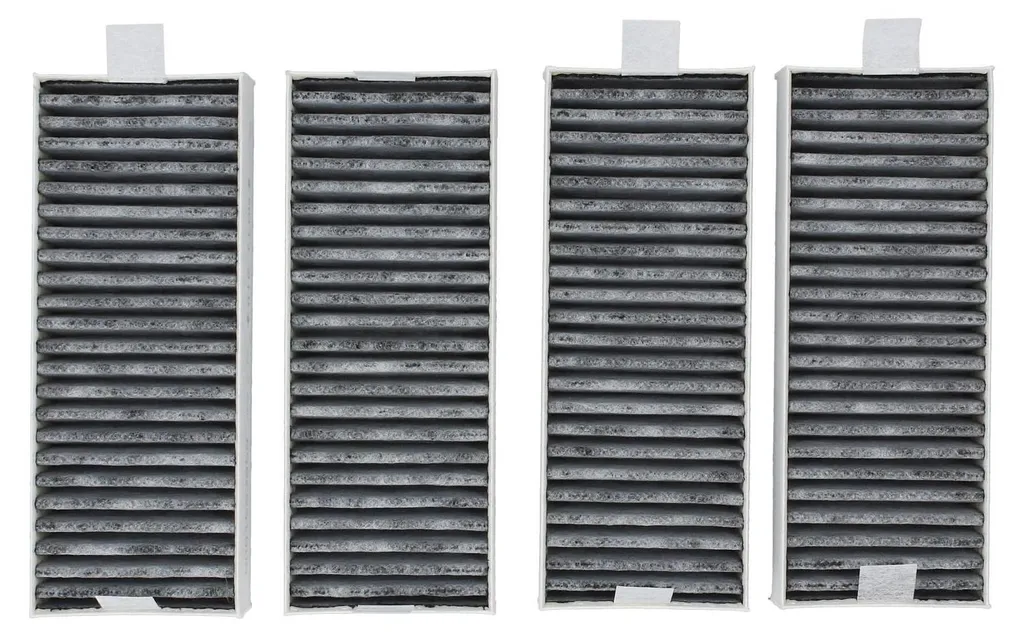Filtre Charbon Bosch 17006642 pour Éliminer les Odeurs de Cuisson