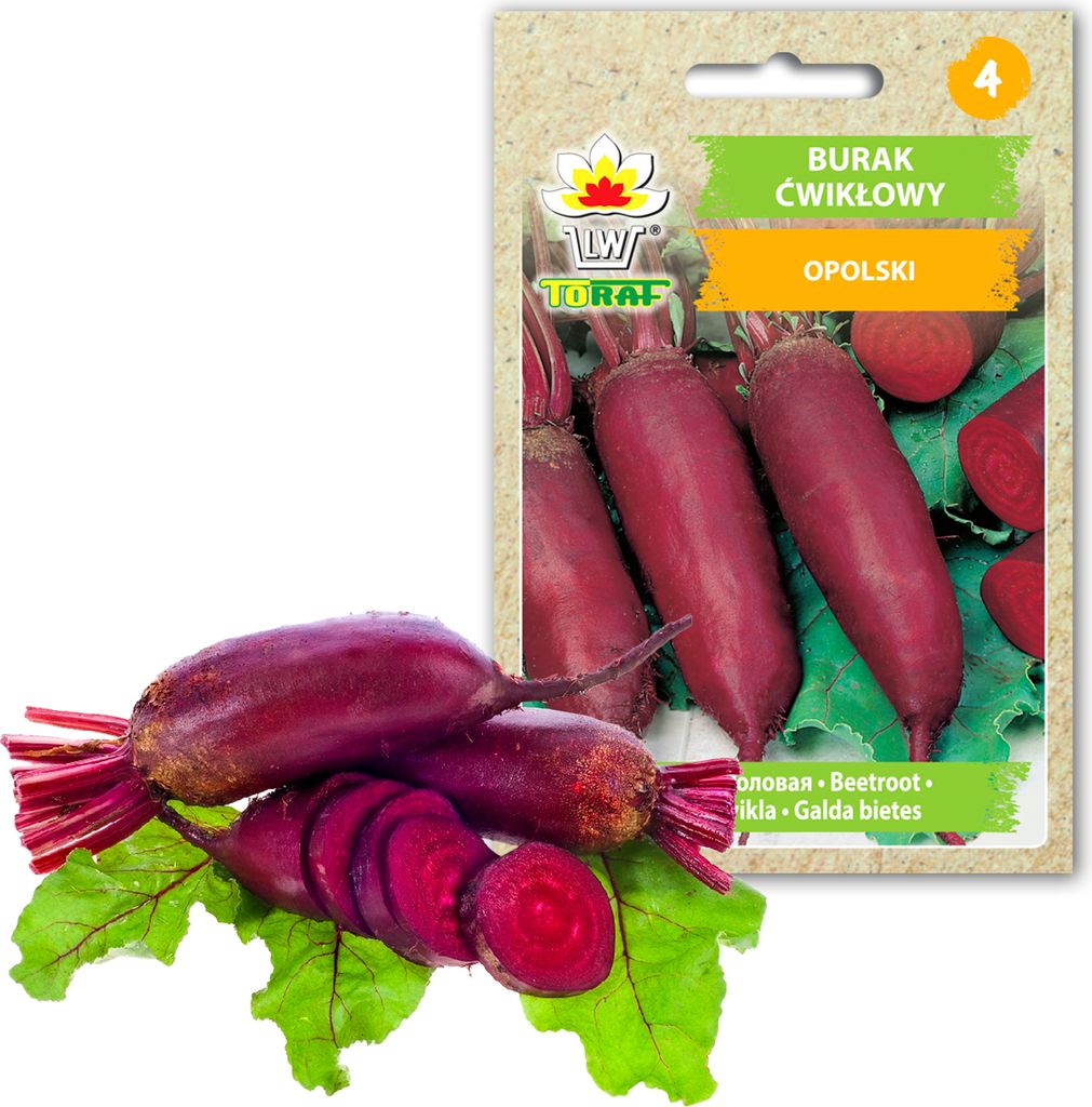 Toraf Gemüsesamen Rote Bete Oblong, Packung 10g