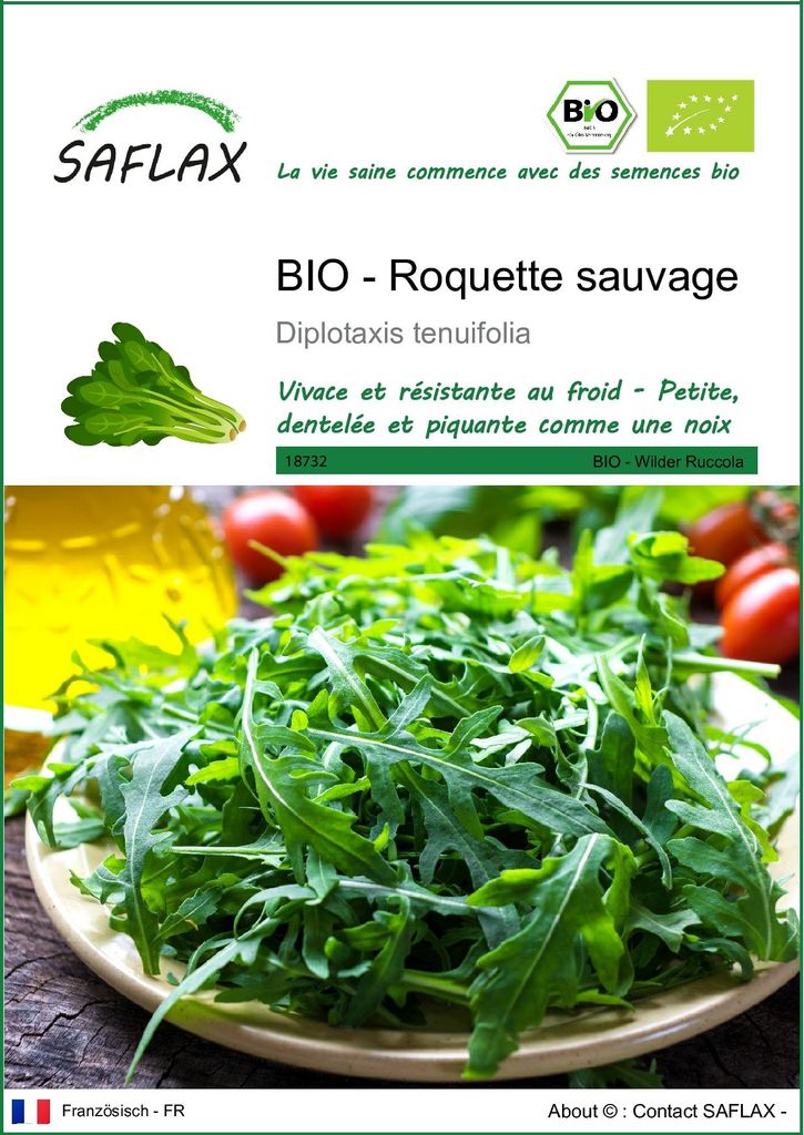 SAFLAX  -- Roquette sauvage - 1500 graines - Diplotaxis Image du produit 